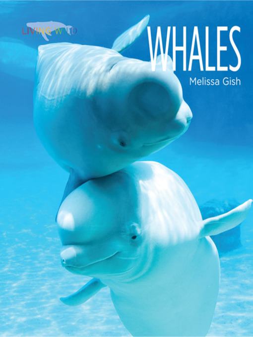 Title details for Whales by Melissa Gish - Wait list